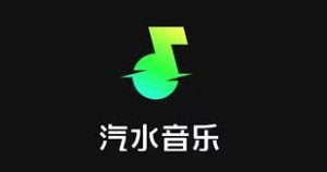汽水音乐会员功能详细解析